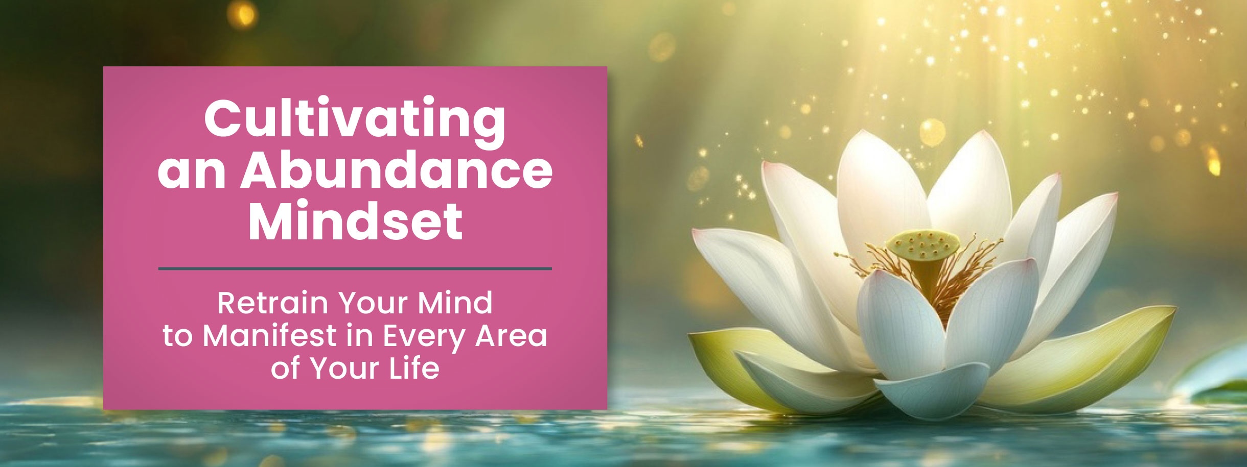 Abundance-Banner_thanks